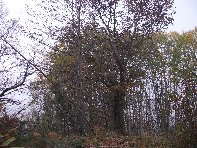 nte Fontane-201011107 037